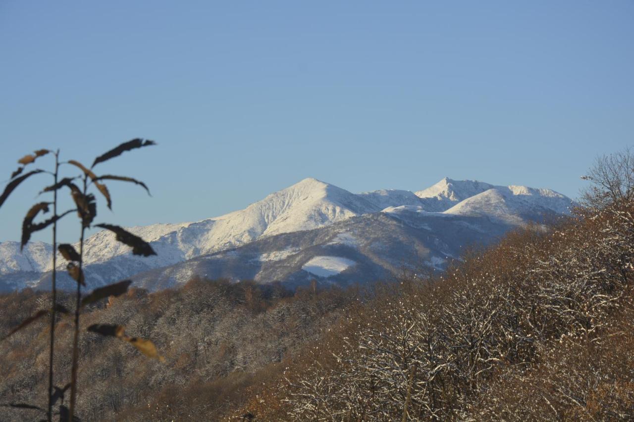 Casa Omnia B&B Castellamonte ภายนอก รูปภาพ
