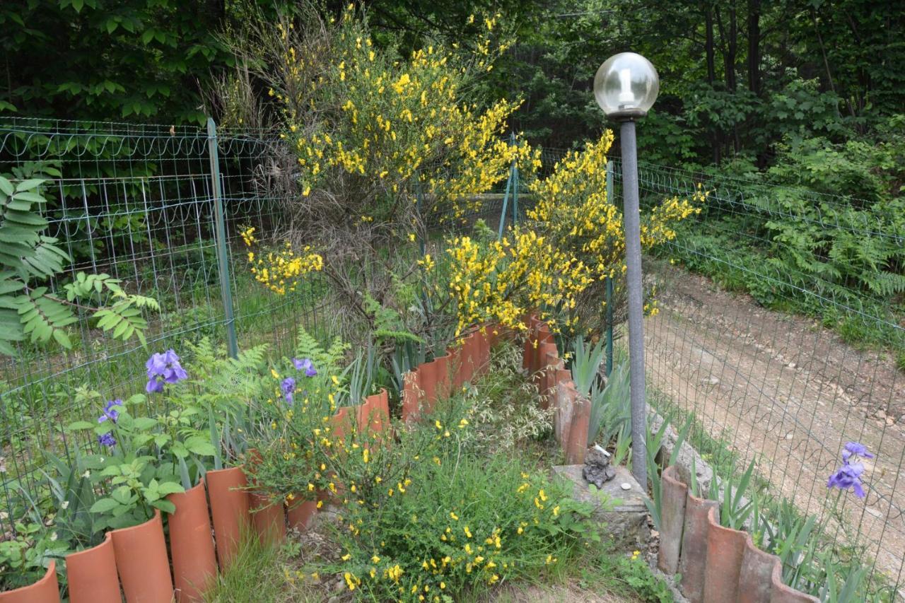 Casa Omnia B&B Castellamonte ภายนอก รูปภาพ
